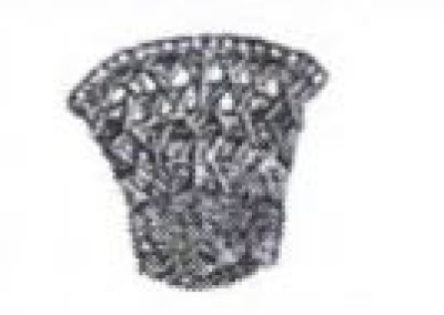 नेपाल जनता संरक्षण पार्टी